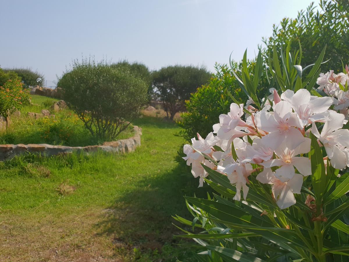 Villa Sprafundu La Maddalena  Eksteriør bilde